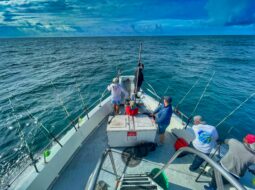 Francisco Lino Ramirez Arteaga-Pesca em Alto-Mar